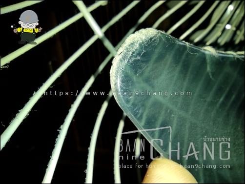 ปลายสุดของใบพัดลม ฝุ่นเกาะนิดหน่อย ถ้าเกาะหนา ก็ตักลมได้ยาก และน้อยลง