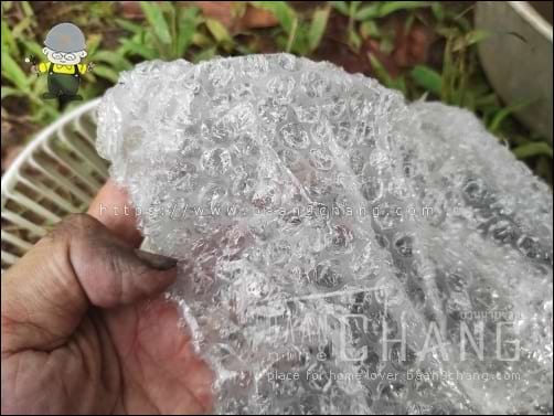 พลาสติกกันกระแทก แอร์บับเบิ้ล Air Bubble ที่กลายเป็นขยะ หลังแกะสินค้าแล้ว