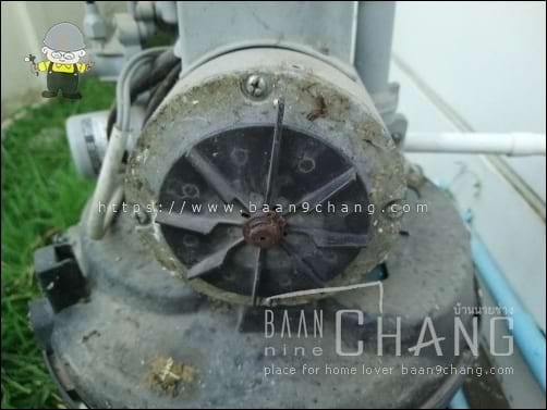 ใบพัดที่อยู่ด้านหลังตัวมอเตอร์ปั๊มน้ำ มีหน้าที่ระบายความร้อนให้กับมอเตอร์ แม้ใบพัดจะหักไปหลายใบ แต่ก็ยังสร้างแรงลมได้พอสมควร ดีกว่าถอดทิ้งไปแบบนี้