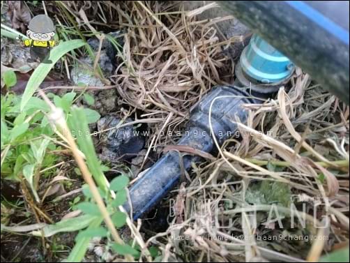 ท่อ HDPE โผล่ขึ้นมาจากดิน ก็ใช้ข้อต่อเกลียว ต่อเข้ากับท่อประปา PVC ได้เลย