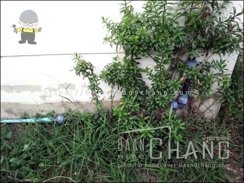 การทรุดของดินรอบๆ บ้าน จะดึงเอาท่อประปาที่ฝังดินลงไปด้วย ทำให้ข้อต่อท่อประปาแตกหัก เสียหาย แก้ปัญหาด้วยการใช้ท่อ HDPE มาต่อเชื่อมระหว่างท่อ PVC ที่(เคย)ฝังใต้ดิน กับที่ผนังบ้าน