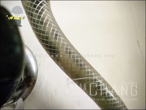 สายน้ำดีเส้นนี้ ติดตั้งอยู่ที่ท่อน้ำเข้า เครื่องทำน้ำอุ่น ซึ่งแรงดันน้ำ จะผลักดันตะไคร่น้ำ ที่อยู่ในสายน้ำดี เข้าไปในเครื่องทำน้ำอุ่น จนเกิดปัญหาได้